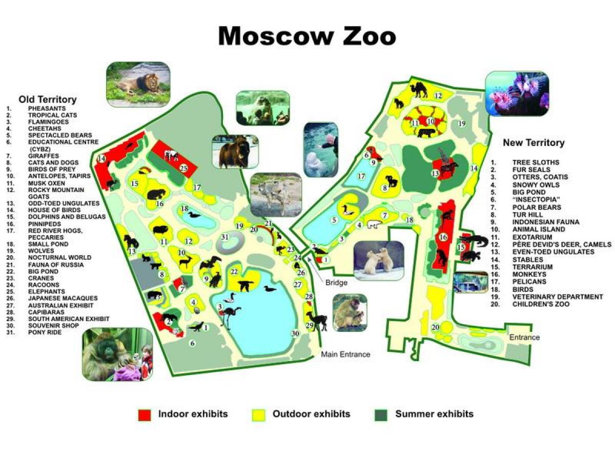 Karte von Moskauer zoo